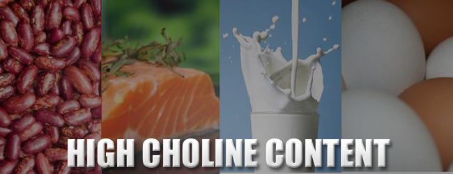 Choline-food